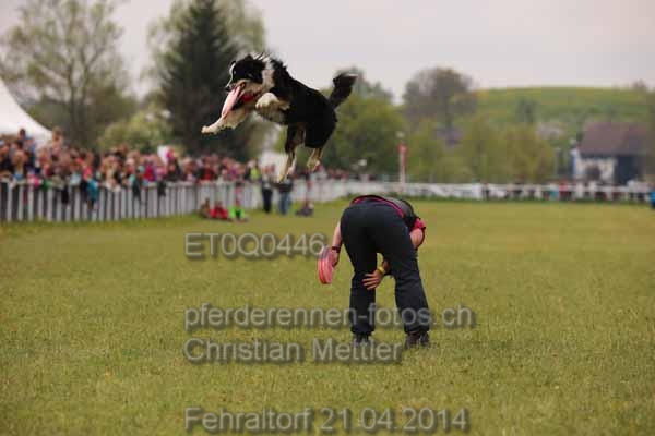 ET0Q0446 prot